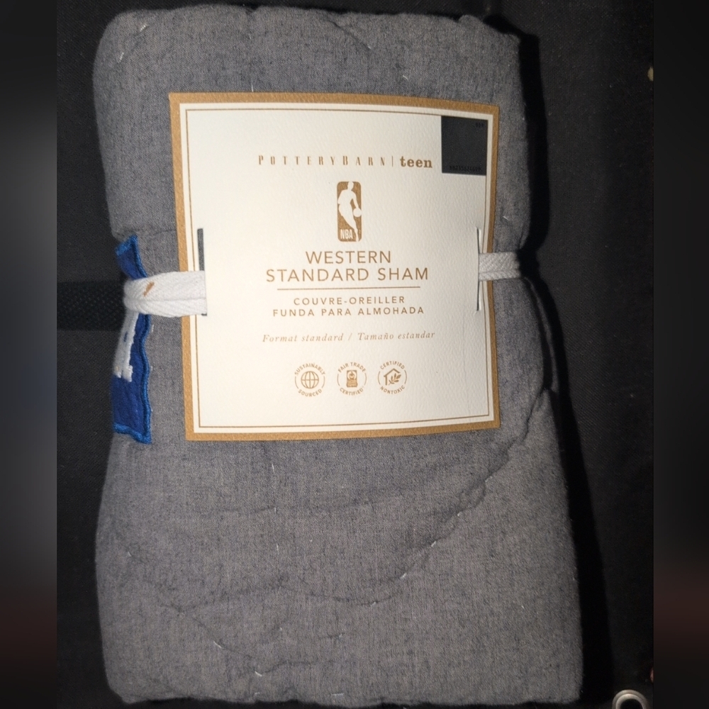 Pottery Barn Teen Western Standard Sham in Gray